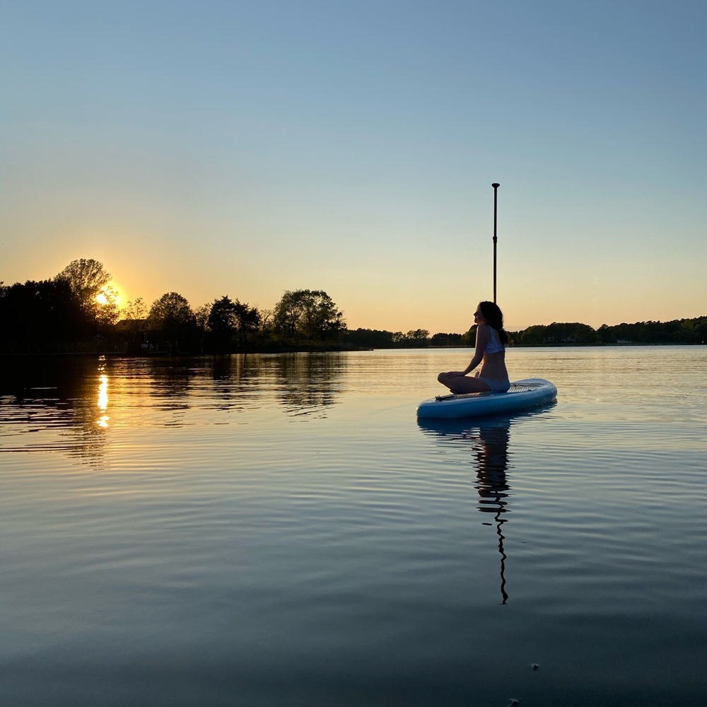 Meet your Posher, Molly
